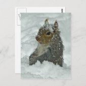 Snow Squirrel Postkarte (Vorne/Hinten)