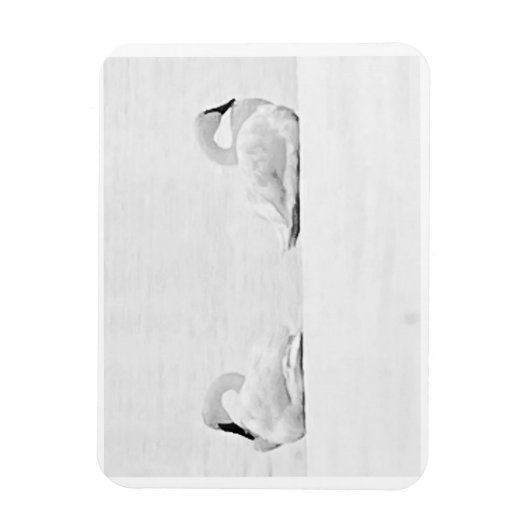 Snow Swans for Nature's Perspectives 2026 Calendar Magnet (Vertikal)