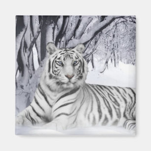 Snow Tiger Magnet