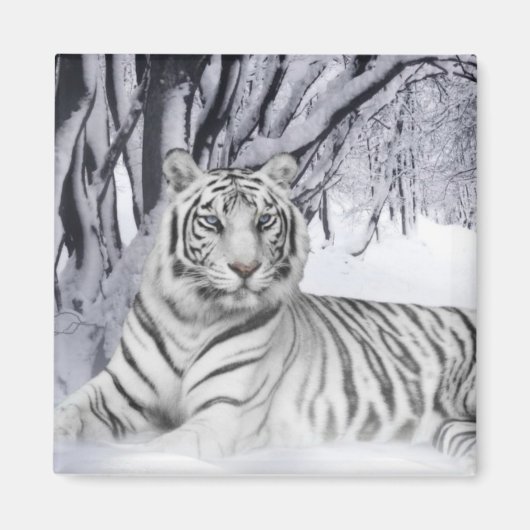 Snow Tiger Magnet (Vorne)
