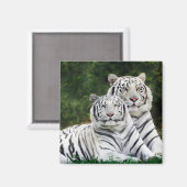 Snow Tiger Magnet (Vorderseite/Rückseite)