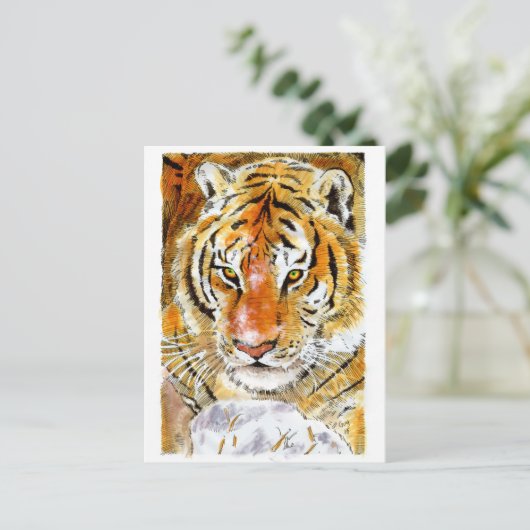 Snow Tiger Postkarte (Stehend Vorderseite)