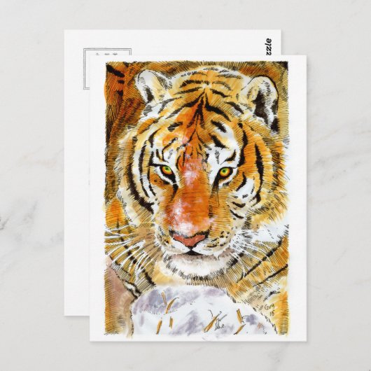 Snow Tiger Postkarte (Vorne/Hinten)