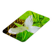 Snow Trillium eine weiße Wildblume Abstrakt Magnet (Linke Seite)