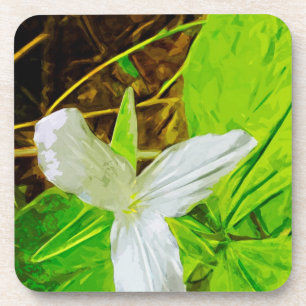 Snow Trillium eine weiße Wildblume Abstrakt Untersetzer