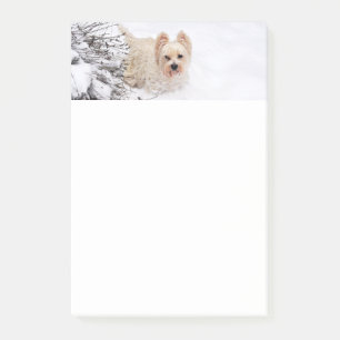 Snow Westie Dog Foto Stationery 4x6 Nachhinweise Post-it Klebezettel