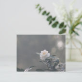 Snow White Camilla Postkarte (Stehend Vorderseite)