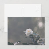 Snow White Camilla Postkarte (Vorne/Hinten)