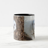 Snow White Fur Meerkat Zweifarbige Tasse (Mittel)