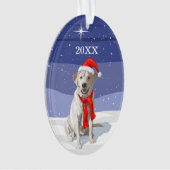Snow White Labrador Retriever Weihnachtsmannmütze Ornament (Vorderseite)