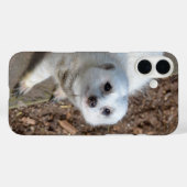 Snow White Meerkat, Case-Mate iPhone Hülle (Rückseite (Horizontal))
