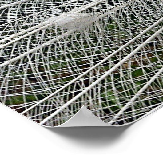 Snow White Poster (Ecke)