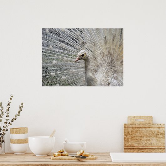 Snow White Poster (Küche)