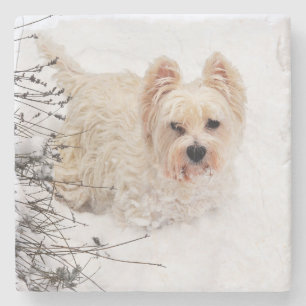 Snow White Westie Hund Foto Stone Untersetzer