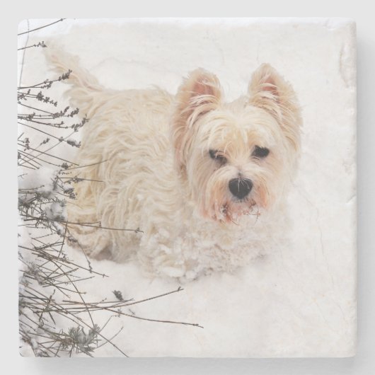 Snow White Westie Hund Foto Stone Untersetzer (Vorderseite)