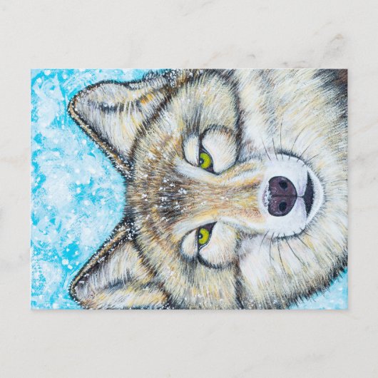 Snow Wolf Postkarte (Vorderseite)