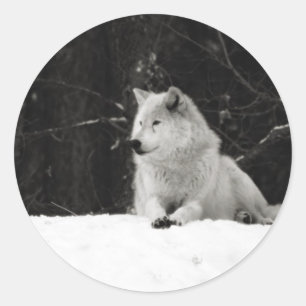 Snow Wolf Runder Aufkleber