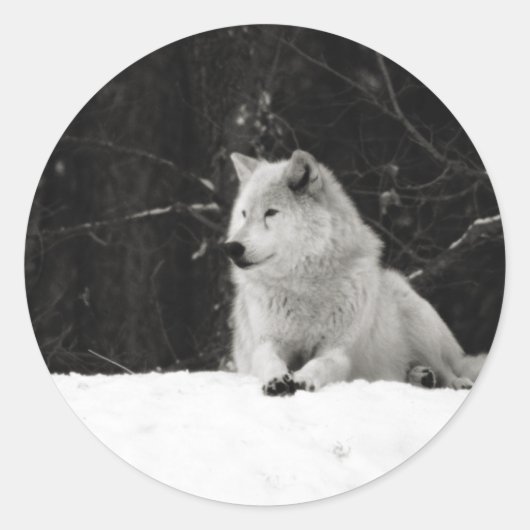 Snow Wolf Runder Aufkleber (Vorderseite)