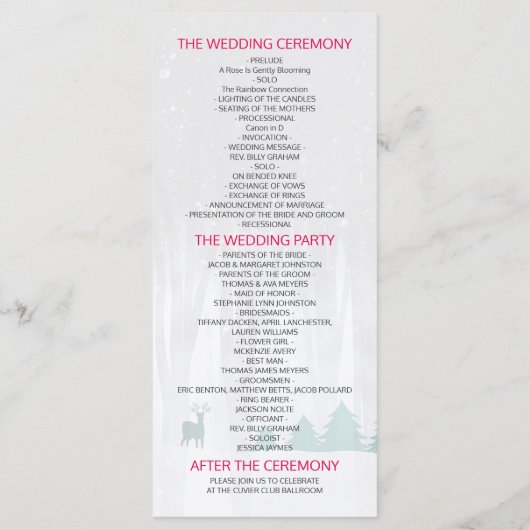 Snow Wonderland Birds Deer Winter Hochzeitsprogram Programm (Rückseite)