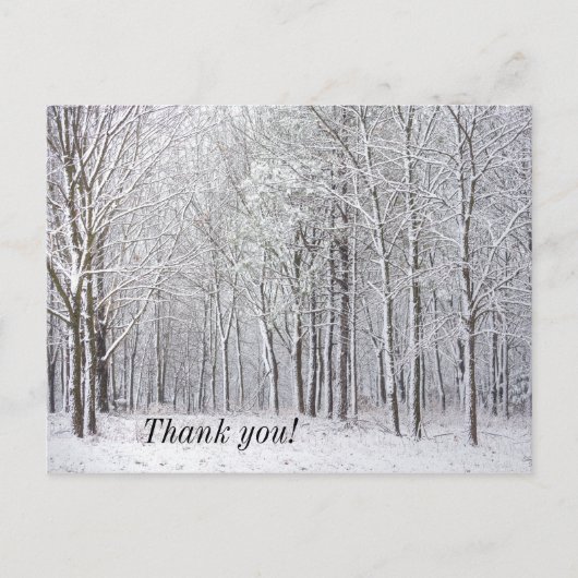Snow Woods Vielen Dank Postcard Postkarte (Vorderseite)