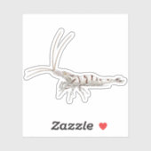Snow Zebra Shrimp - Animal Sticker Collection (Blatt)