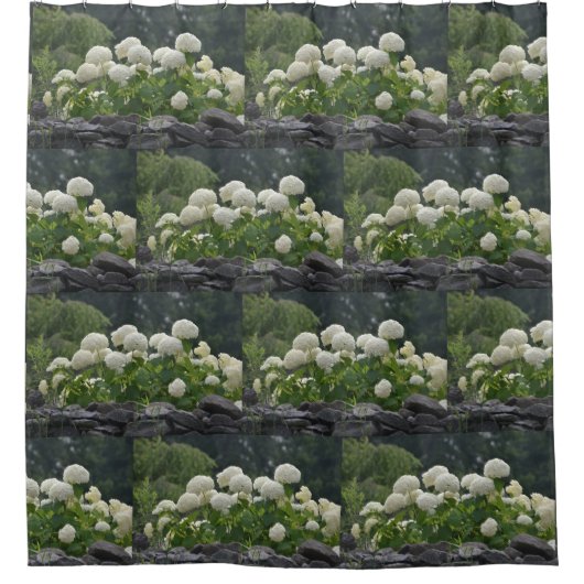 Snowball Bush auf der Rock Wall Duschvorhang (Vorderseite)