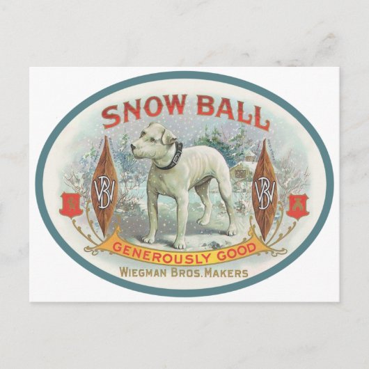 Snowball der Hund Postkarte (Vorderseite)