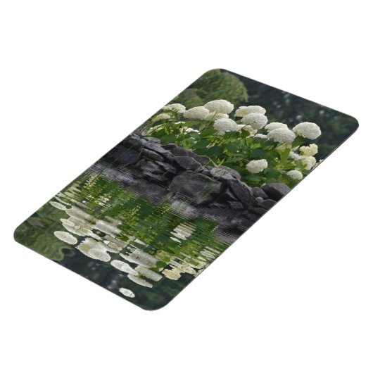 Snowball Hydrangea mit Reflektionen Magnet (Linke Seite)