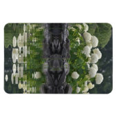 Snowball Hydrangea mit Reflektionen Magnet (Horizontal)