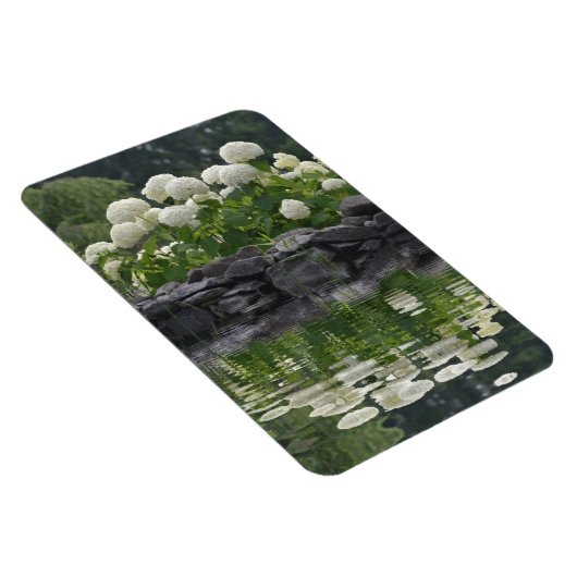 Snowball Hydrangea mit Reflektionen Magnet (Rechte Seite)