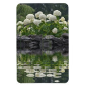 Snowball Hydrangea mit Reflektionen Magnet (Vertikal)