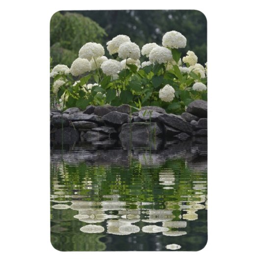 Snowball Hydrangea mit Reflektionen Magnet (Vertikal)