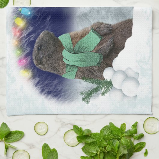 Snowball Kampfflugzeug Küchentuch (Gefaltet)