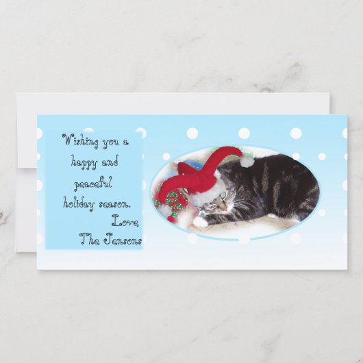 Snowball pet holiday card feiertagskarte (Vorderseite)