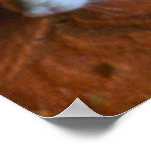 Snowball Rat Poster (Ecke)