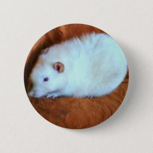 Snowball White Rat Button