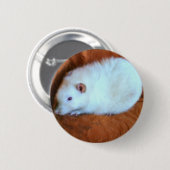 Snowball White Rat Button (Vorne & Hinten)