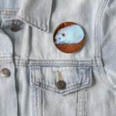 Snowball White Rat Button (Beispiel)