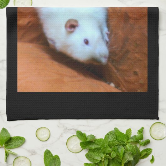 Snowball White Rat Küchentuch (Gefaltet)