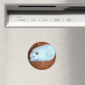 Snowball White Rat Magnet (In Situ (Geschirrspüler))