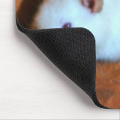 Snowball White Rat Mousepad (Ecke)