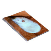 Snowball White Rat Notebook Notizblock (Rechte Seite)