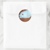 Snowball White Rat Sticker (Tasche)