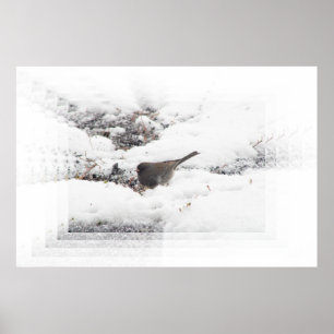 Snowbird 01 poster