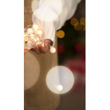 Snowbird Flamingo, Brauch