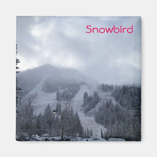 Snowbird Magnet (Vorne)