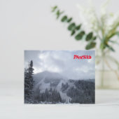 Snowbird Postkarte (Stehend Vorderseite)