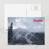 Snowbird Postkarte (Vorne/Hinten)