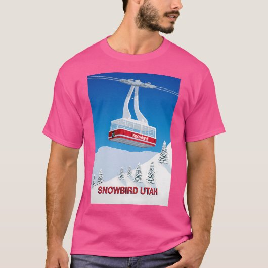 Snowbird Ski Resort Baseball Sleeve T-Shirt (Vorderseite)