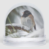 Snowbird Snow Globe Schneekugeln (Vorderseite)